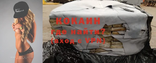 индика Кукмор