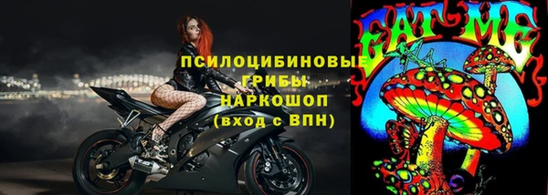 соль ск Краснослободск