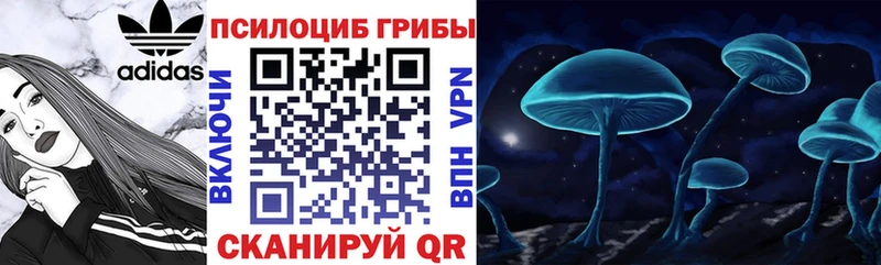 Галлюциногенные грибы прущие грибы  Купить где  Саратов 